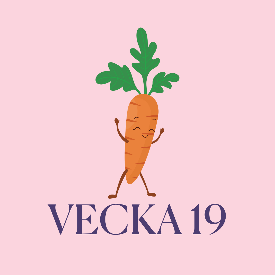 gravid vecka 19