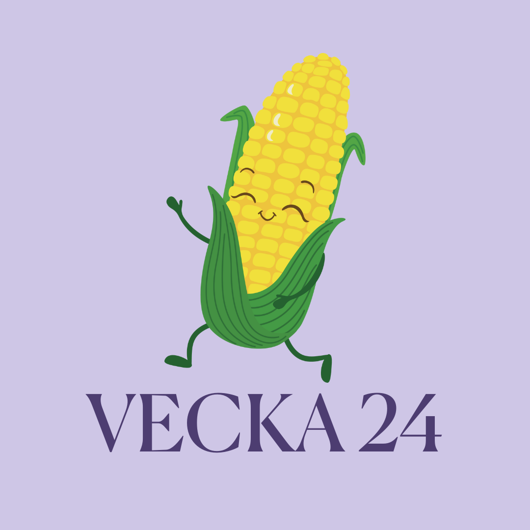 gravid vecka 24