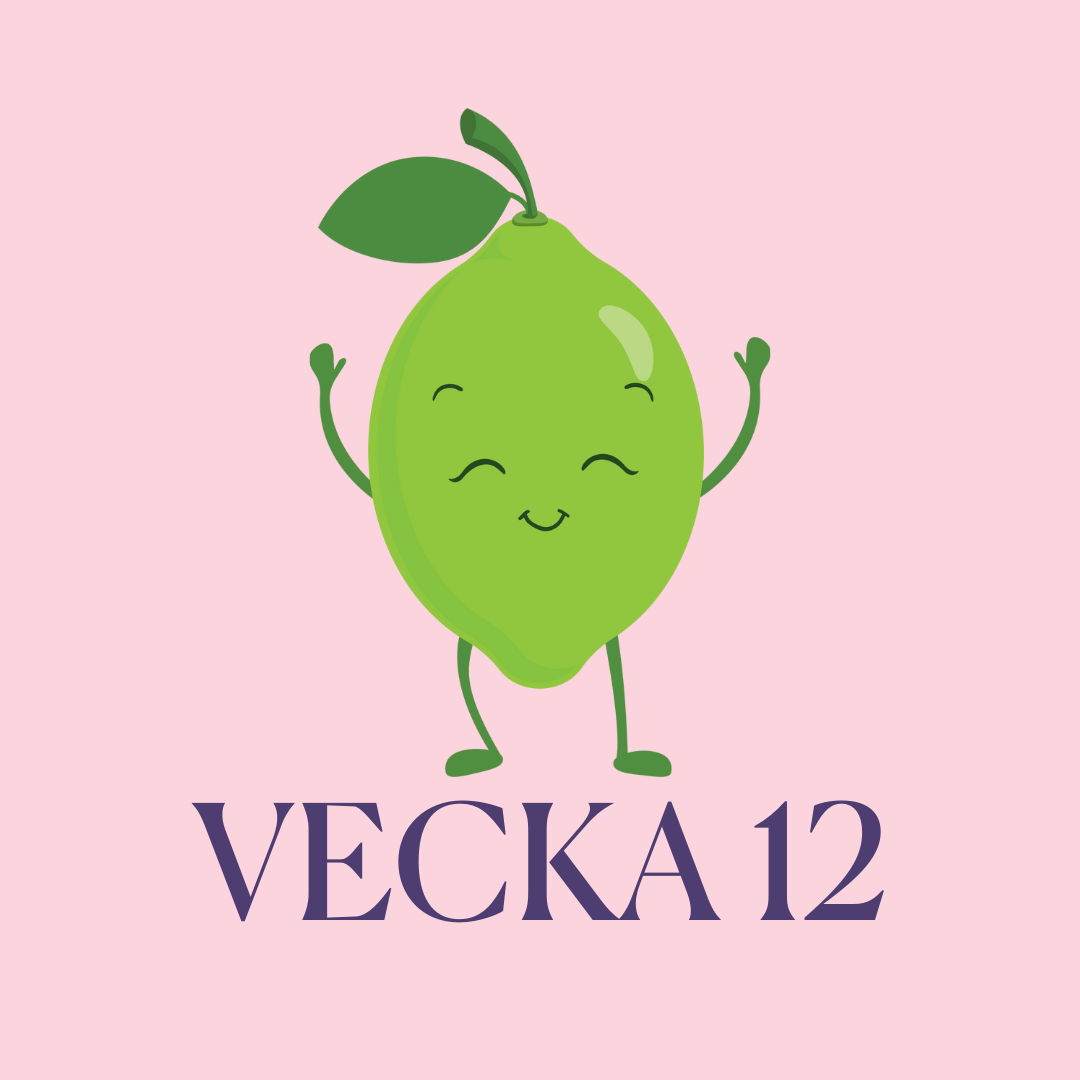 gravid-vecka-12