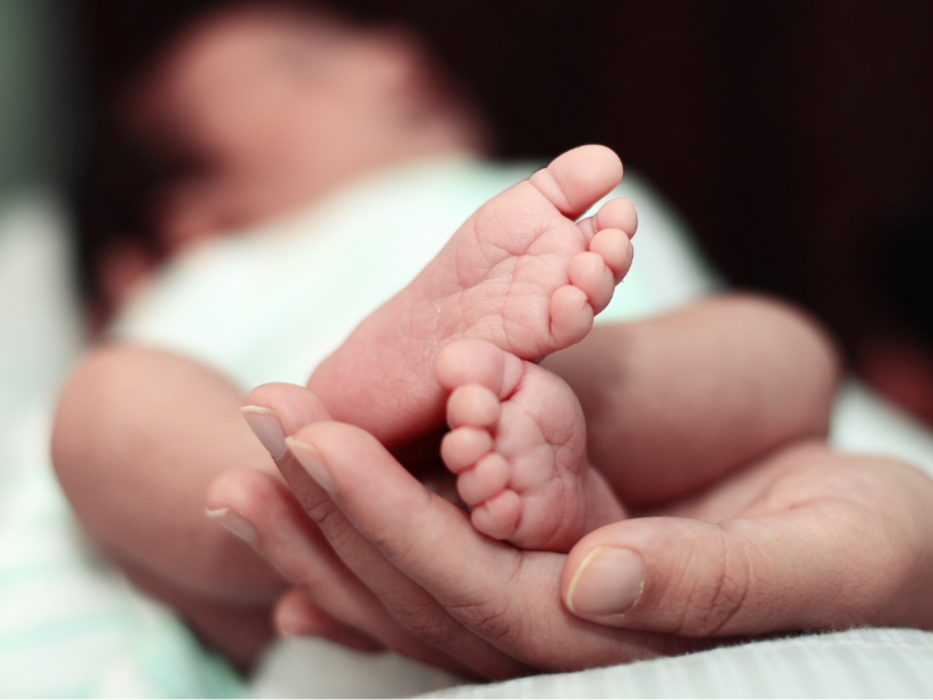 förlossningens-faser