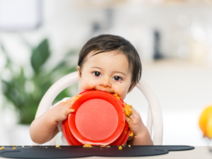 Bern äter på tallrik